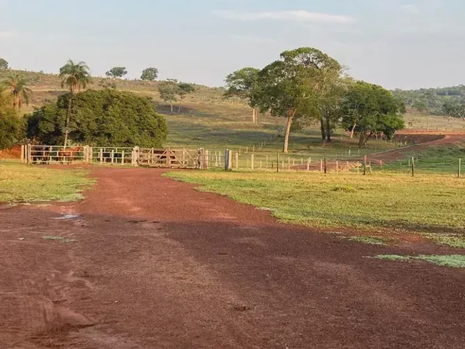 Fazenda de gado em Torixoréu - Mato Grosso - 1.050 hectares , 12 represas, 28 divisões de 