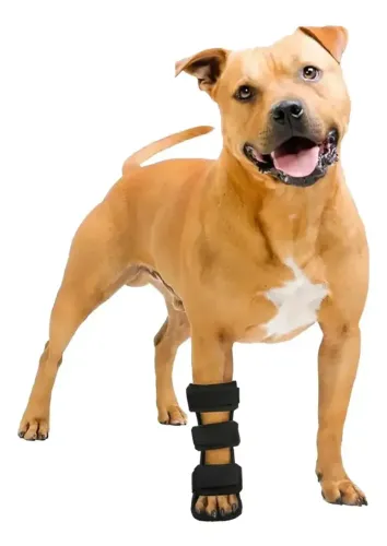 Bota Aberta Tala Imobilização Pata Cachorro Dianteira Tam M