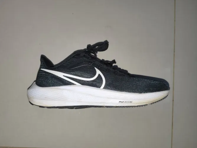Tênis Nike Downshifter