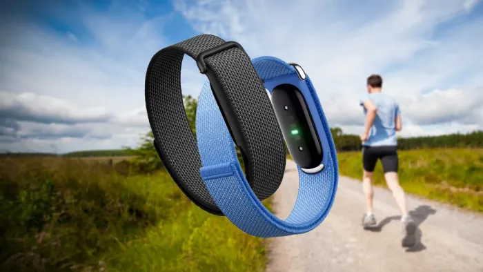 Smartband Pulseira fitness Google Fitbit Air sem tela, bateria malha Preto