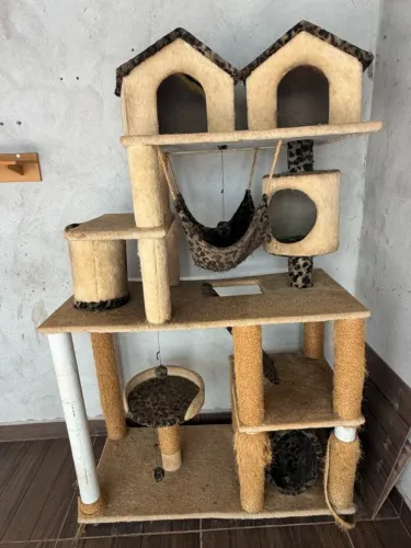 Playground de gatos