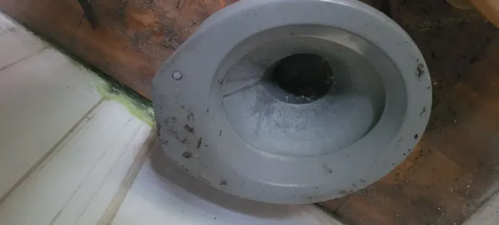 Vaso sanitário