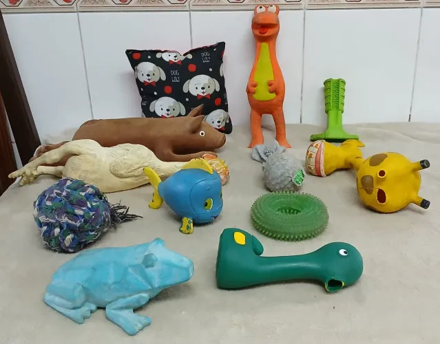 Kit com 12 Brinquedos Variados para Pets Usados