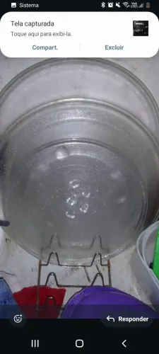Pratos microondas 35 reais *23