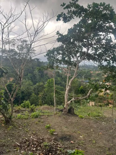 Vendo terreno 8x10 santa Inês ou troco por moto interessado chama no pv