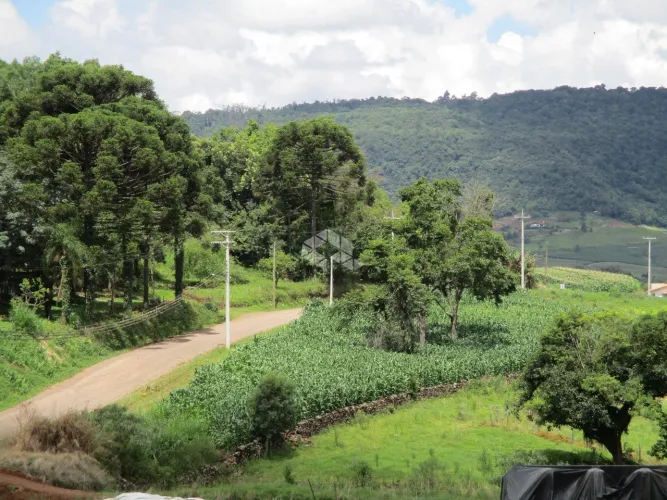Chácara na localidade de Nove Colônias, cidade de Nova Petrópolis na serra gaúcha.