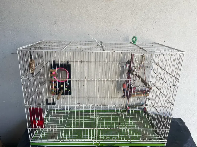 Gaiola