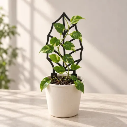 Treliça Para Plantas Trepadeiras Suporte Vaso Favo De Mel Folha Impressão 3D