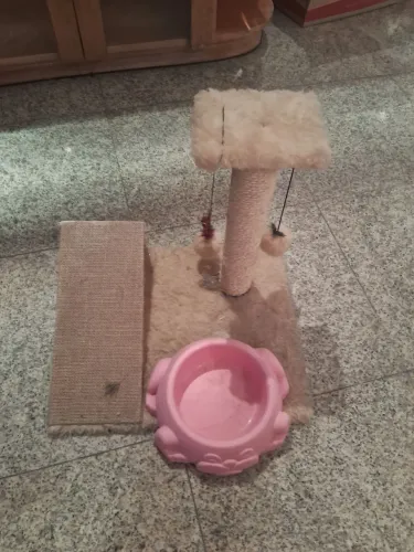 Brinquedo para gato + vasilha rosa