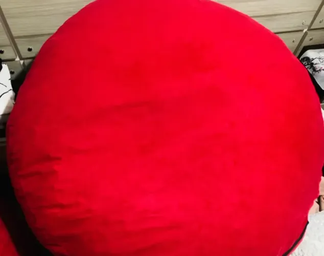Puff Gigante Vermelho Adulto - Confortável e em Ótimo Estado (Tenho 2 unidades)