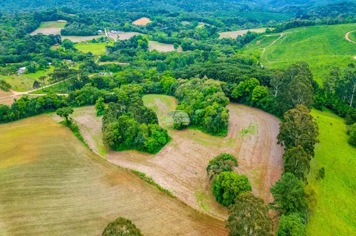 Vendas Terreno Campo Largo PR