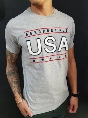 Camiseta Aeropostale Usa Graphic