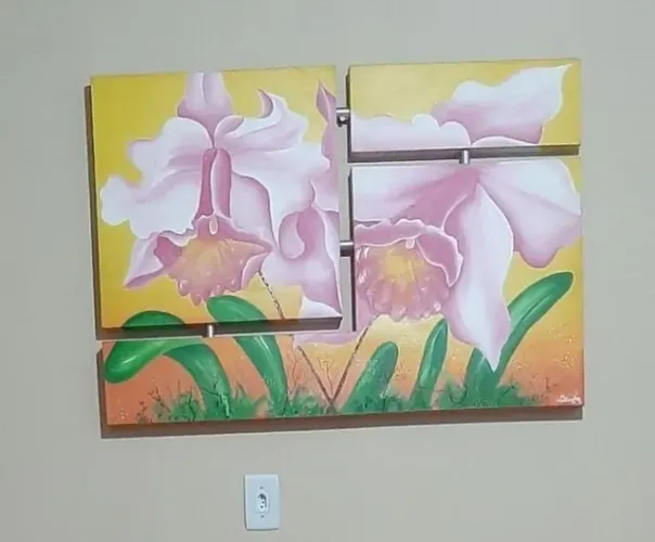Vendo quadro