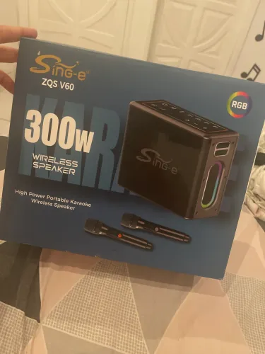 Som Sing-e ZQS V60 300w