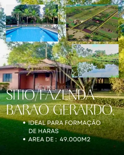 Fazenda/Sítio á venda em Barão Geraldo em Campinas/SP:
