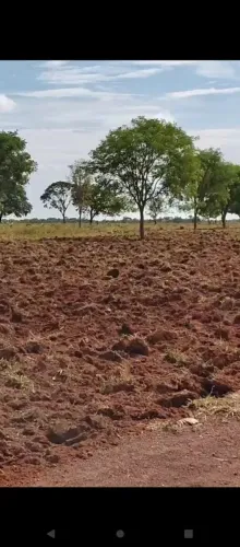 Fazenda Goiás - Mara Rosa