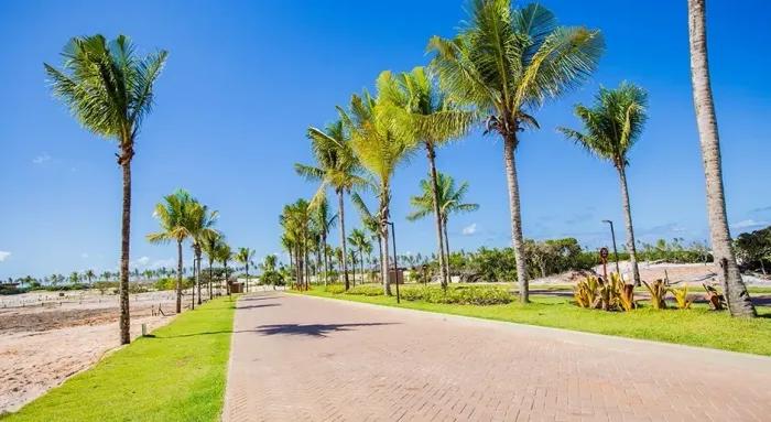 LOTE 455m ² NO CONDOMÍNIO RESERVA SAUÍPE EM COSTA DE SAUÍPE