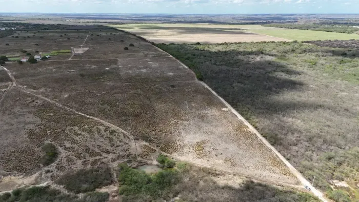 Fazenda Canaã a Venda 100 Hectares