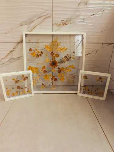 Conjunto com 3 Quadros Decorativos - Flores Naturais Secas