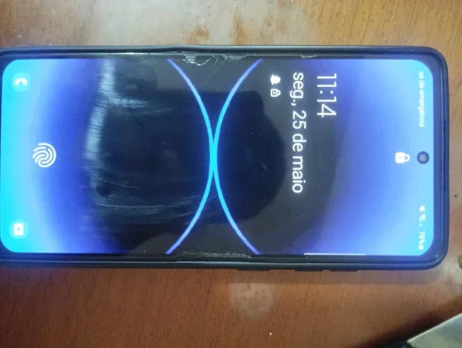 Celular s20 FE 