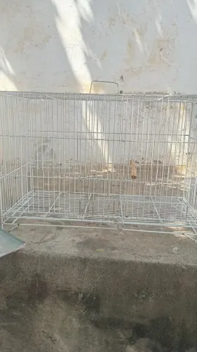 Gaiola para pássaros seminova 