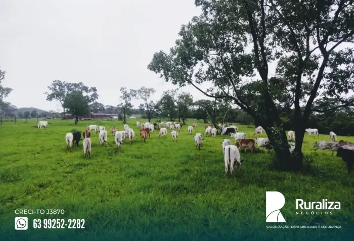 Fazenda à Venda | 758 ha (161 Alq) | Estruturada | MG | R$ 10 Milhões