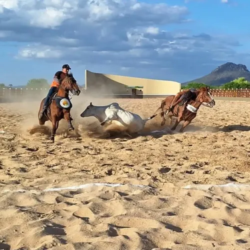 Cavalo de direita