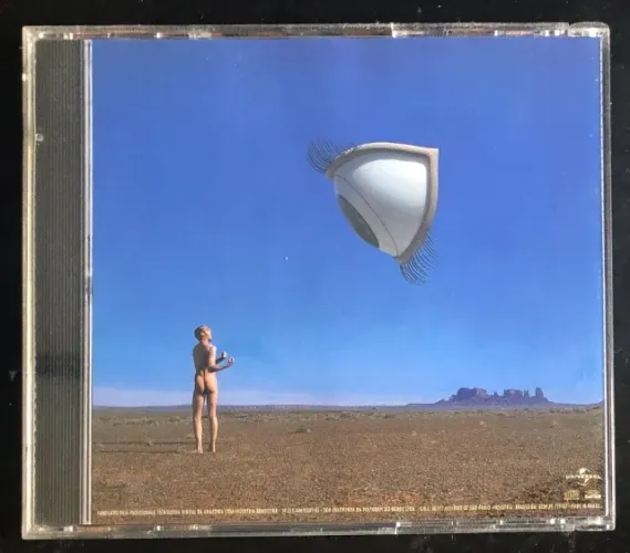 Cd The Cramberries Bury The Hatchet (1999)
