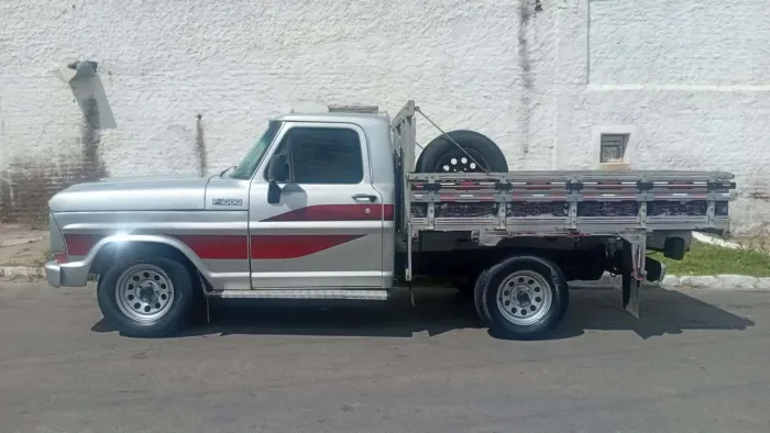 Ford F-1000 S. S. Diesel / S.s. Diesel Turbo 1989