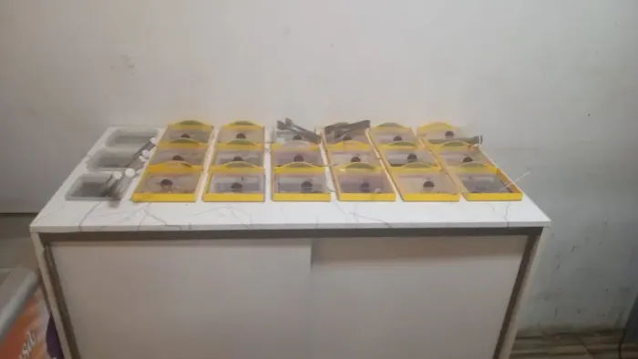 KIT AÇAI, 2 BALCÕES, NICHO, CAIXA GULOSEIMA