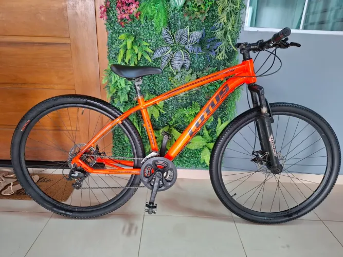 Bicicleta Lotus Aro 29