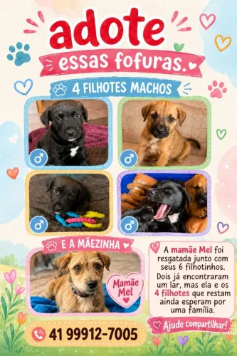 Mãezinha Fiapo de Manga e filhotes para doação 