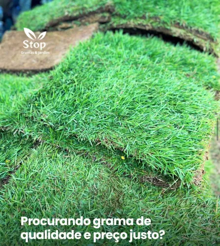 Grama Esmeralda