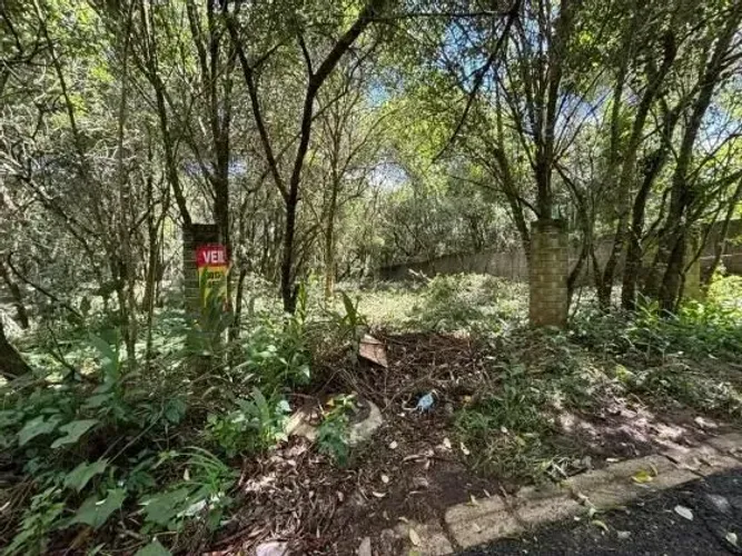 TERRENO SANTA FELICIDADE