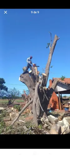 Jardinagem em geral Emanuel serviços gerais atendimento em todos região preço bom