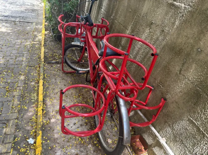 Bicicleta de Carga