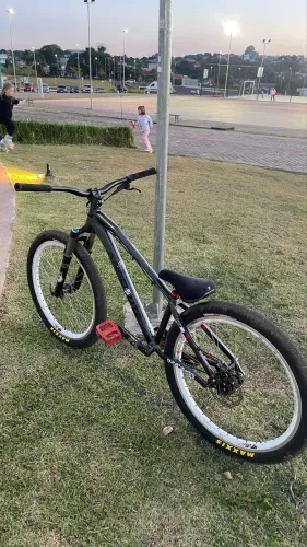 Quadro Absolute Brutus