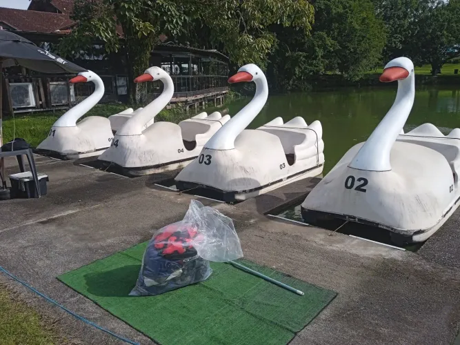 Vendo 4 pedalinhos