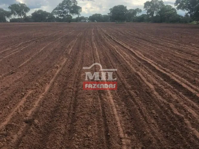 Fazenda na Região de Jataí-GO. 8.730 Hectares (1.804 Alqueires).