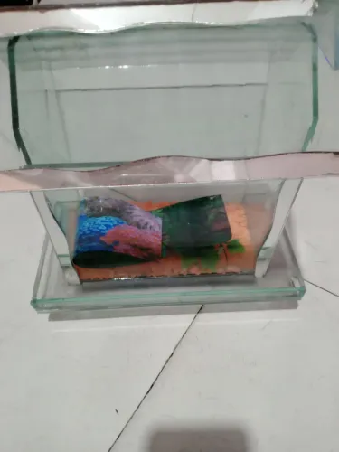 Aguario casinha só 30 meu ZAP *