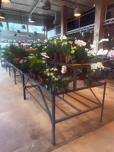 Expositor duplo para plantas e produtos - 120x200x130