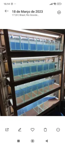 VENDO Bateria de aquários para criação ou exposição de peixes BETTA