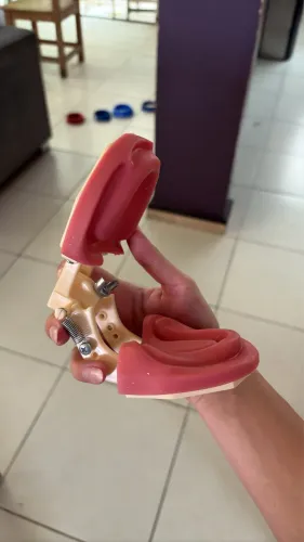 manequim odontológico