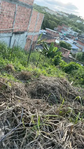 Terreno 6x25 zap *94
