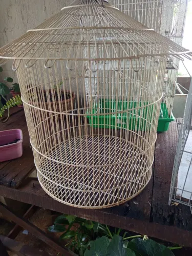 Duas gaiolas por 80 reais 