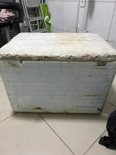 Isopor térmico 