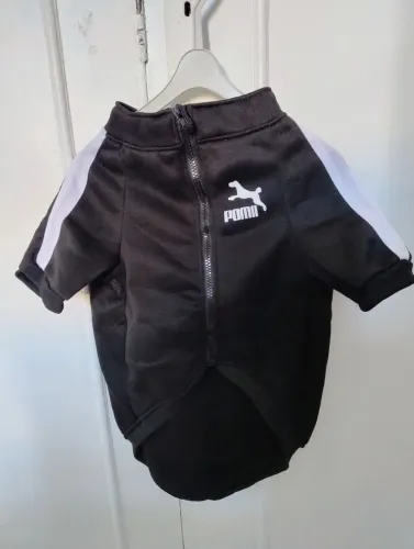 Roupa de inverno para cães