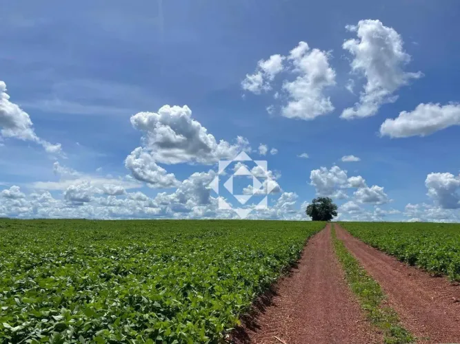 Fazenda de 890 hectares com 400 hectares em lavoura em Cristalândia/TO