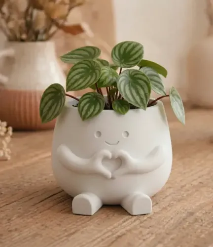 Kit 2 Vasinhos Coração Aconchegante Cachepot para plantas pequenas