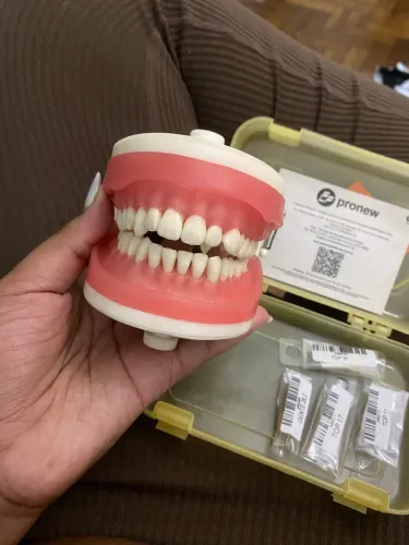 Manequim dentistica pronew